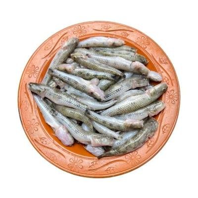 ছোট বেলে